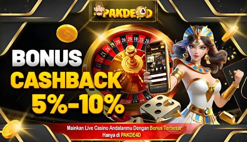 pakde4d-banner-025e6f708892b6b64d.webp